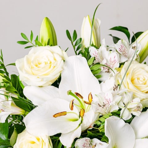 Aurore: Gigli e Rose highlight Aurore: Gigli e Rose highlight