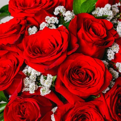 Amore Classico: 12 Rose Rosse highlight Amore Classico: 12 Rose Rosse highlight