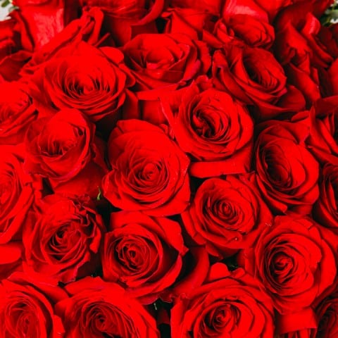 Amore Eterno: 40 Rose Rosse highlight Amore Eterno: 40 Rose Rosse highlight