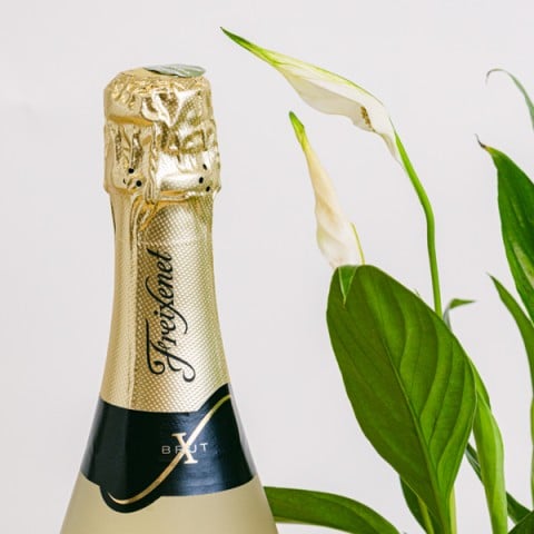 Capriccio Pacifico: Giglio della Pace & Cava highlight Capriccio Pacifico: Giglio della Pace & Cava highlight