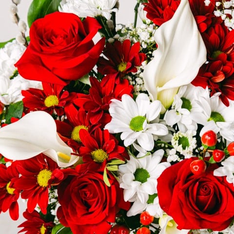 Armonia Gentile: Regalo di Natale Perfetto highlight Armonia Gentile: Regalo di Natale Perfetto highlight