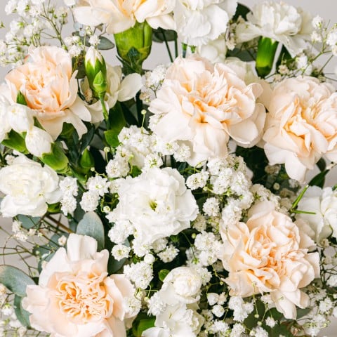 Fioriture Romantiche: Rose e Garofani highlight Fioriture Romantiche: Rose e Garofani highlight